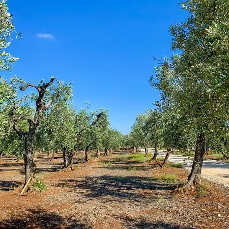 Luksusowy namiot A-luxury Glamping By La Mignola Fasano