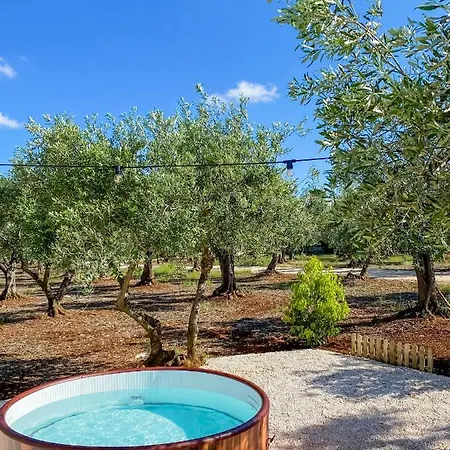 Luxury tent A-luxury Glamping By La Mignola Fasano